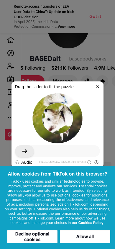 Based Bodyworks TikTok source screenshot with captcha overlay